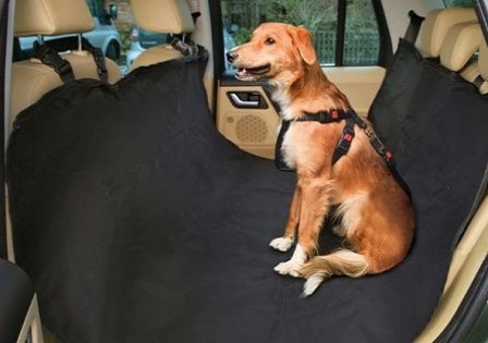 Перевозка собаки в автомобиле